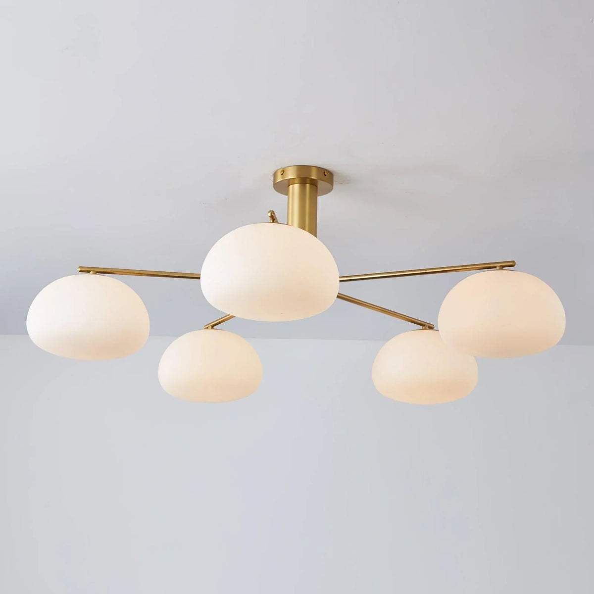 Barndon Glass Chandelier